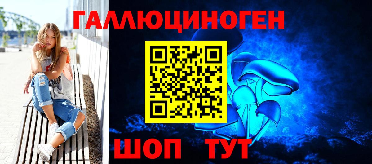 Клинцы  Галлюциногенные грибы Psilocybe  Вход с VPN 